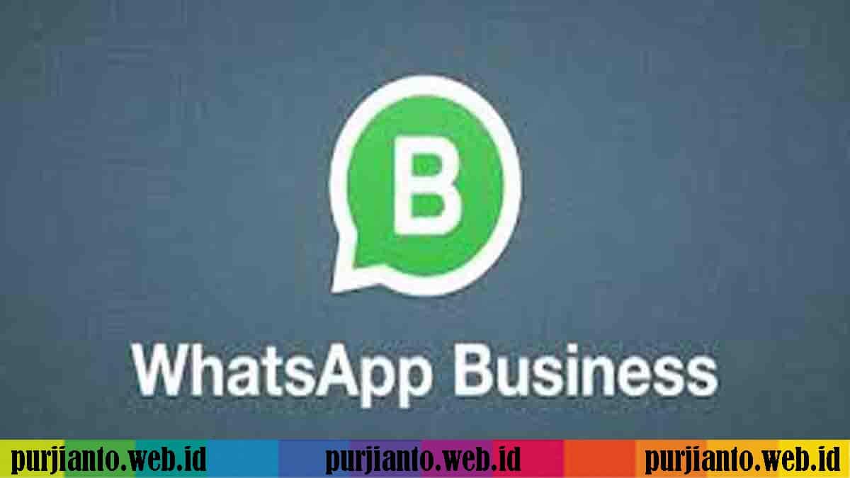 Intip Cara Menggunakan WhatsApp Business